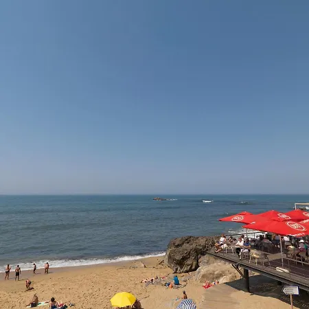 Flh Serralves House With Garden Апартаменты Порту