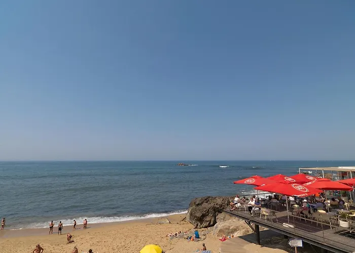 Flh Serralves House With Garden Appartement Oporto